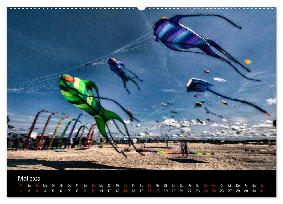 Dirks Drachenwelt (CALVENDO Wandkalender 2026)