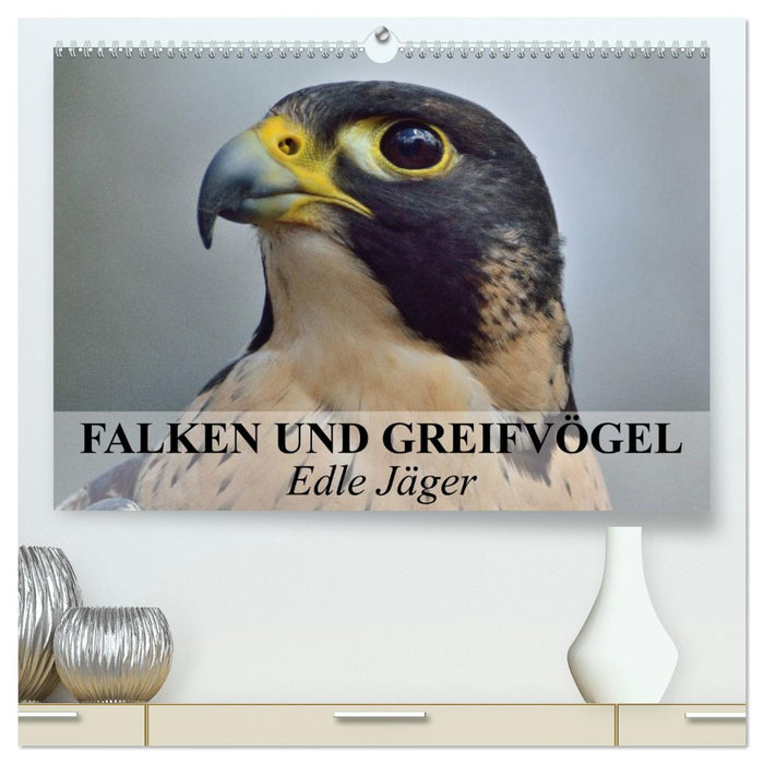 Falken und Greifvögel. Edle Jäger (CALVENDO Premium Wandkalender 2026)