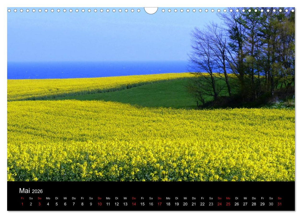 Die Ostsee - Ein Jahr am Meer (CALVENDO Wandkalender 2026)