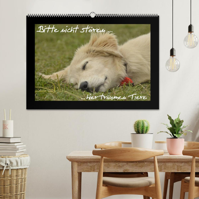 Bitte nicht stören... hier träumen Tiere (CALVENDO Wandkalender 2026)