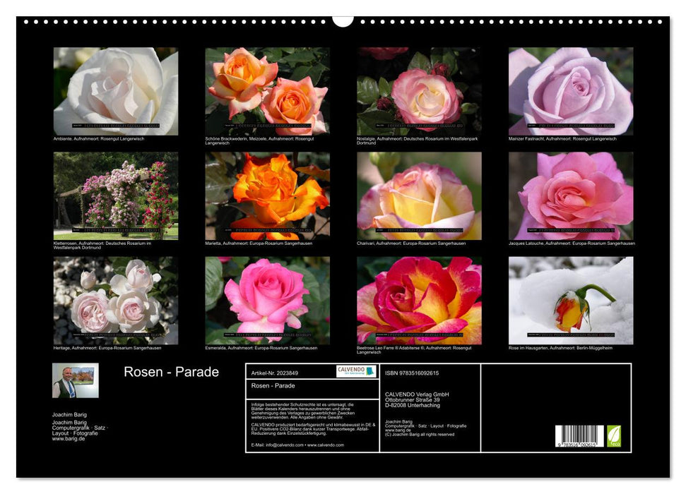 Rosen - Parade (CALVENDO Wandkalender 2026)