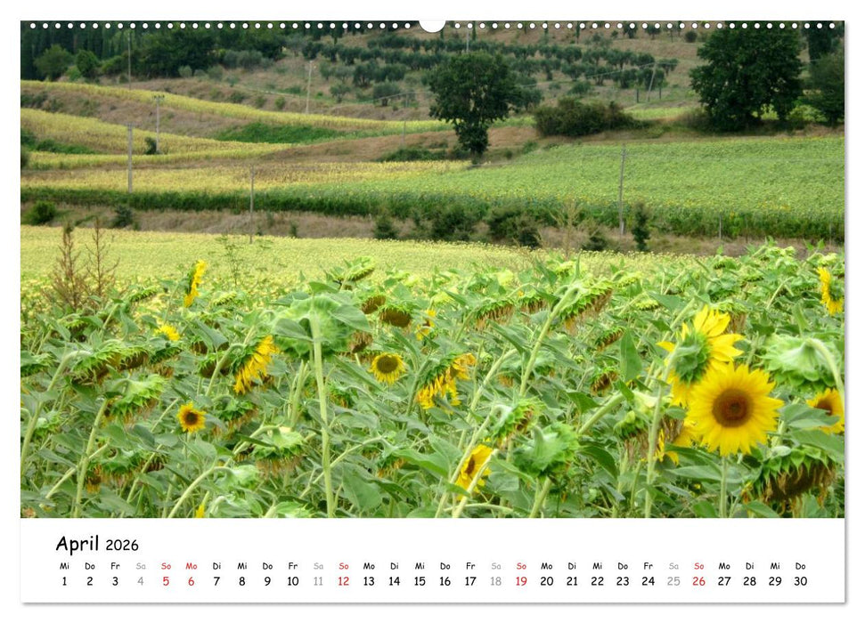 Camino di Assisi - Franziskusweg (CALVENDO Wandkalender 2026)