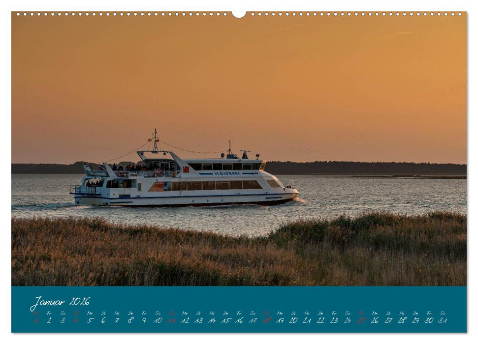 Blick auf die Halbinsel Fischland, Darß und Zingst (CALVENDO Wandkalender 2026)