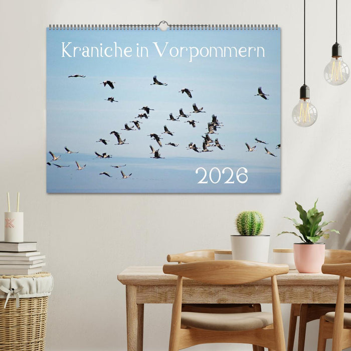 Kraniche in Vorpommern (CALVENDO Wandkalender 2026)