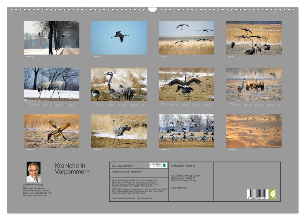 Kraniche in Vorpommern (CALVENDO Wandkalender 2026)