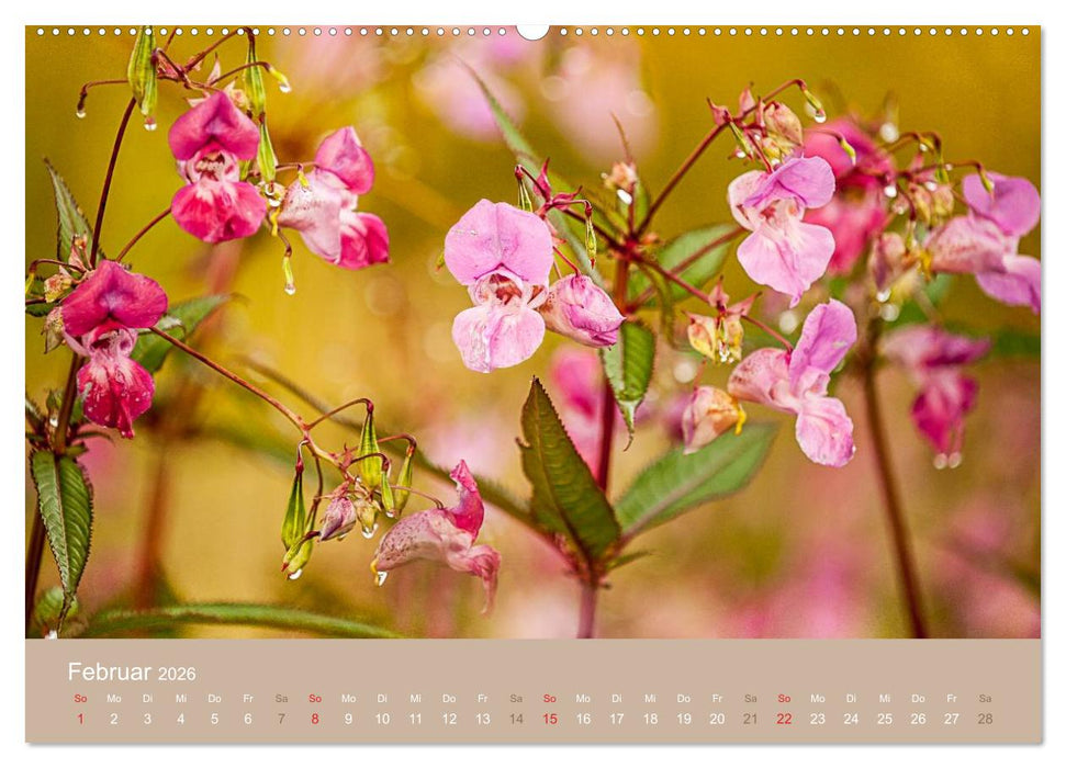 WILDE NAHRUNG (CALVENDO Wandkalender 2026)