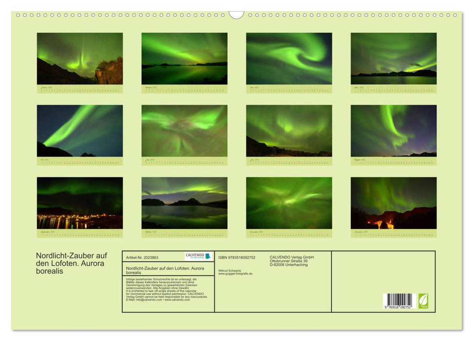 Nordlicht-Zauber auf den Lofoten. Aurora borealis (CALVENDO Wandkalender 2026)