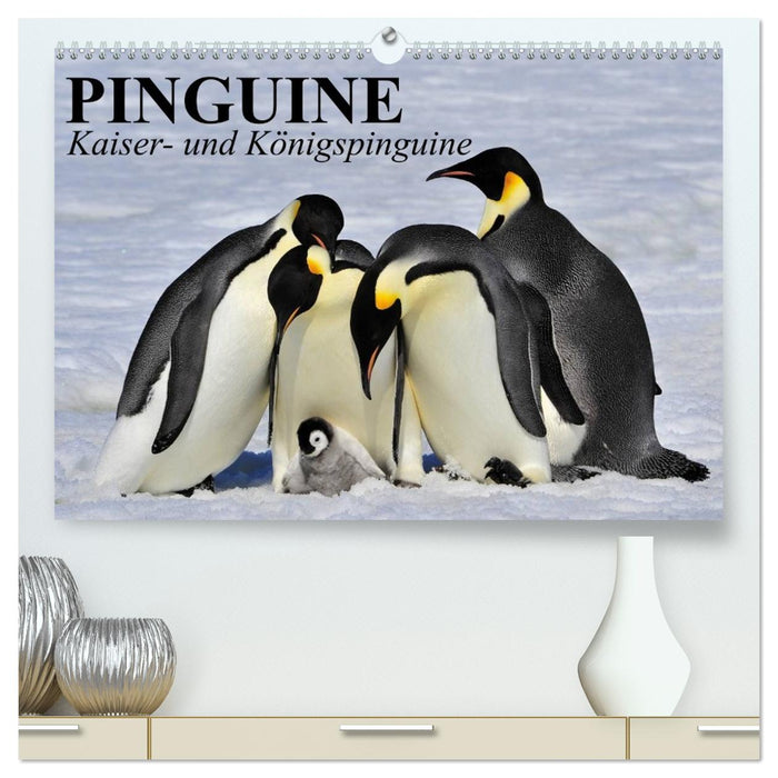 Pinguine - Kaiser- und Königspinguine (CALVENDO Premium Wandkalender 2026)