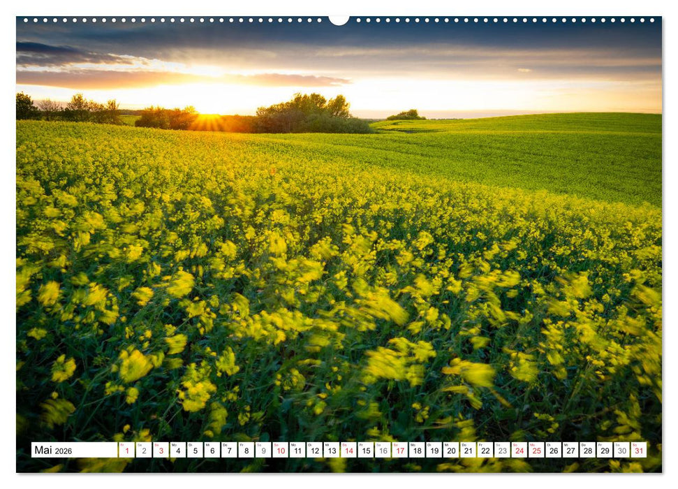 Traumhaftes Mecklenburg-Vorpommern (CALVENDO Premium Wandkalender 2026)