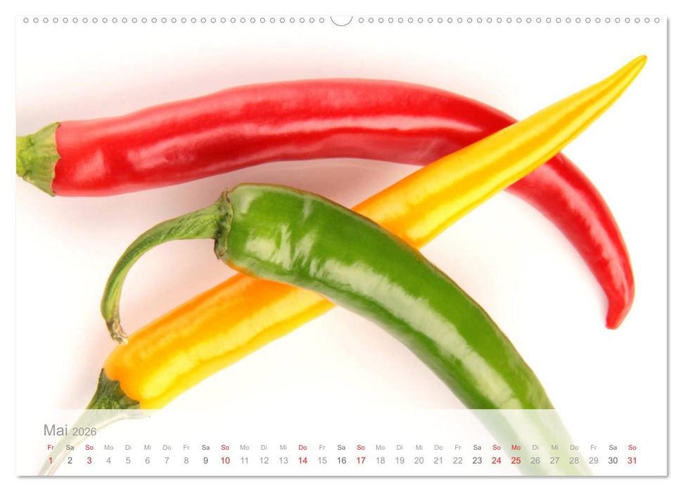 Der vegane Küchenkalender (CALVENDO Premium Wandkalender 2026)
