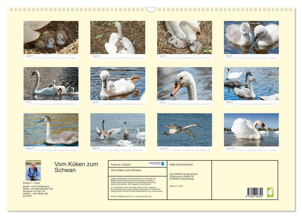 Vom Küken zum Schwan (CALVENDO Wandkalender 2026)