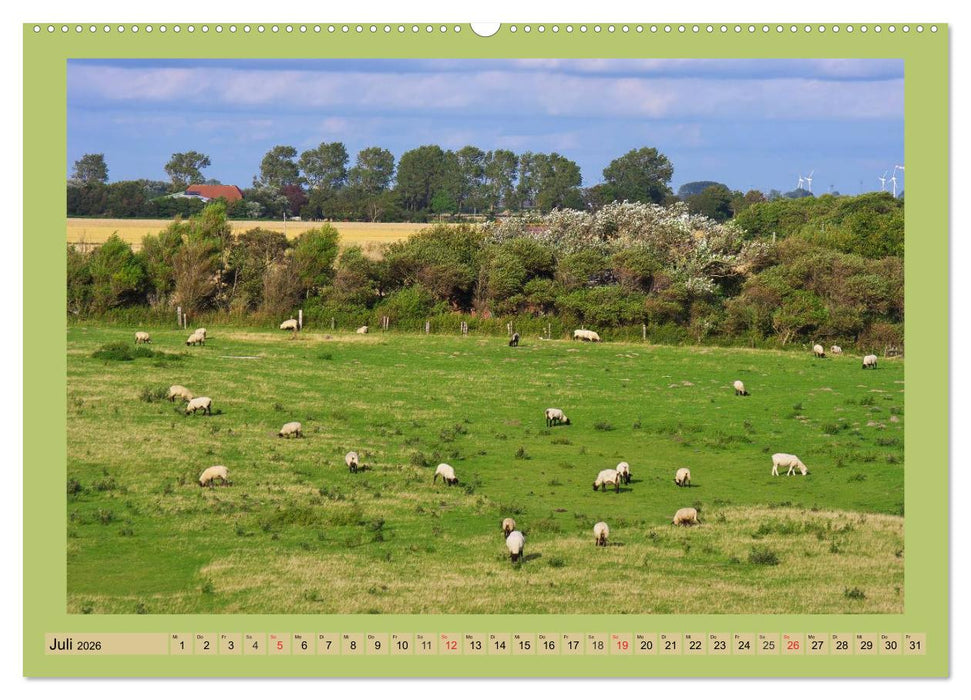 Büsum an der Nordsee (CALVENDO Premium Wandkalender 2026)