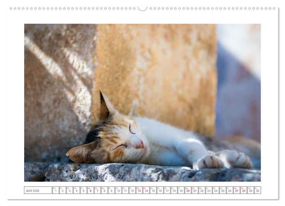 Griechenlands schöne Inseln, Kreta (CALVENDO Premium Wandkalender 2026)