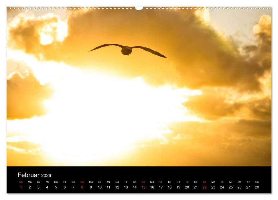 Wolkenmalerei (CALVENDO Premium Wandkalender 2026)