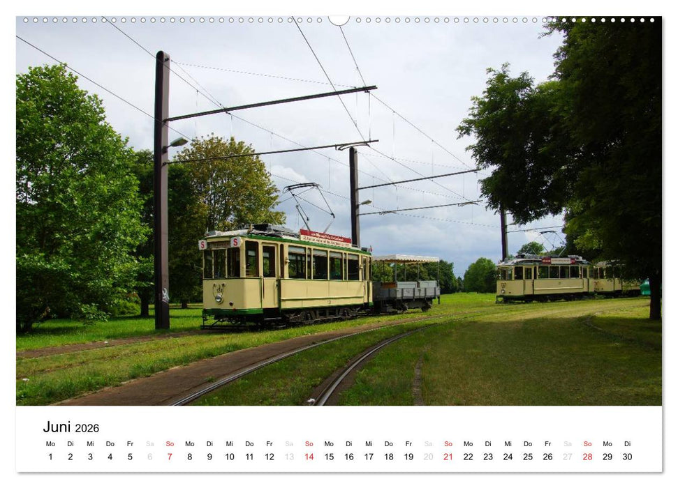 Mein Magdeburg 2026 (CALVENDO Premium Wandkalender 2026)