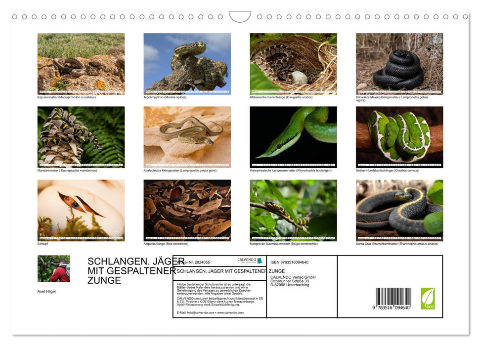 SCHLANGEN. JÄGER MIT GESPALTENER ZUNGE (CALVENDO Wandkalender 2026)