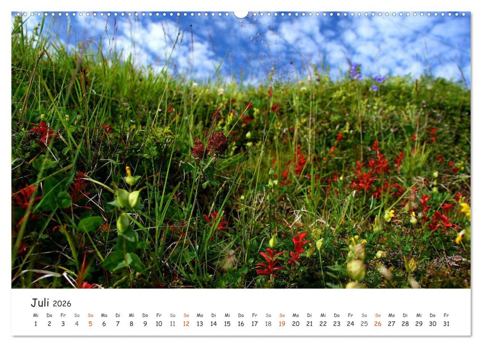 Nordnorwegen im Licht (CALVENDO Premium Wandkalender 2026)