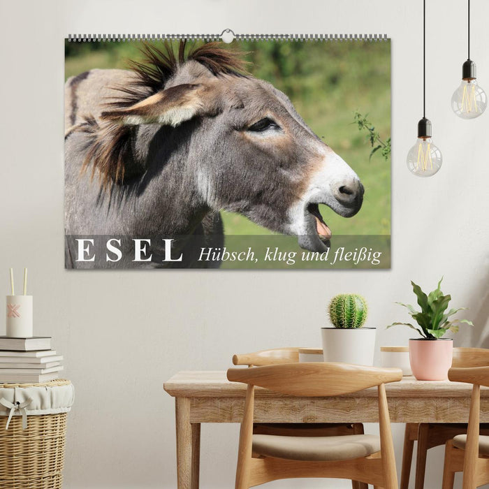Esel - hübsch, klug und fleißig (CALVENDO Wandkalender 2026)