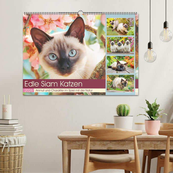 Edle Siamkatzen. Anmut und Charakter im Spiel mit der Natur (CALVENDO Wandkalender 2026)
