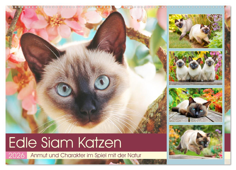 Edle Siamkatzen. Anmut und Charakter im Spiel mit der Natur (CALVENDO Wandkalender 2026)