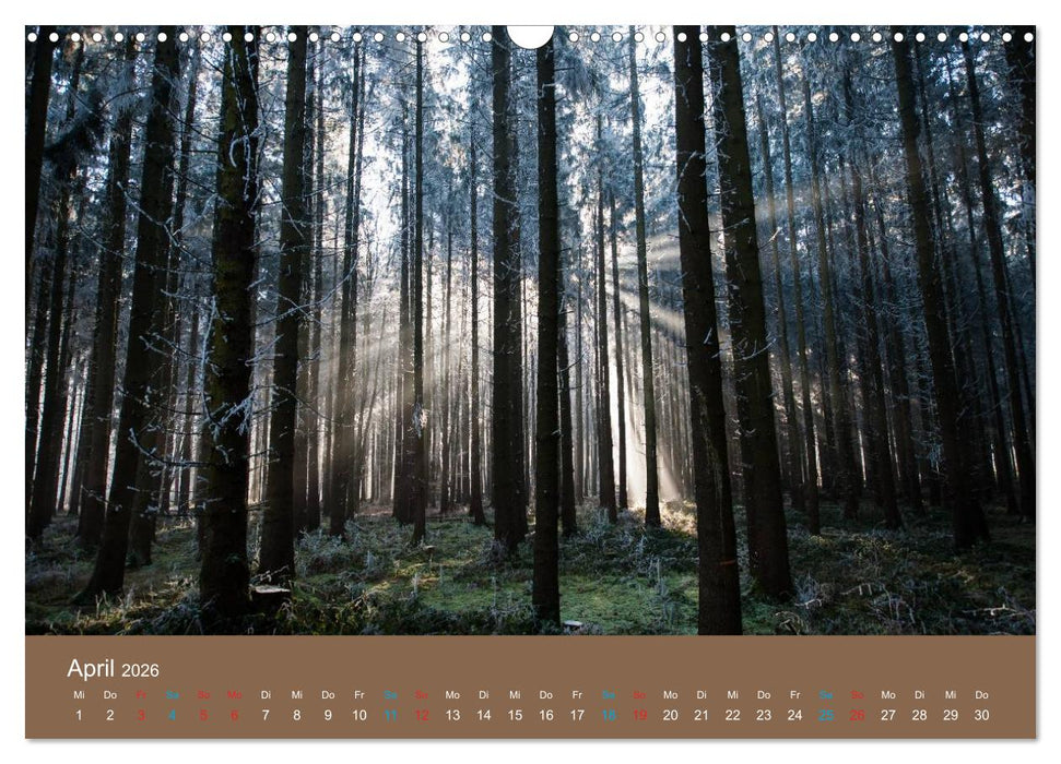 Fasziantion Natur (CALVENDO Wandkalender 2026)