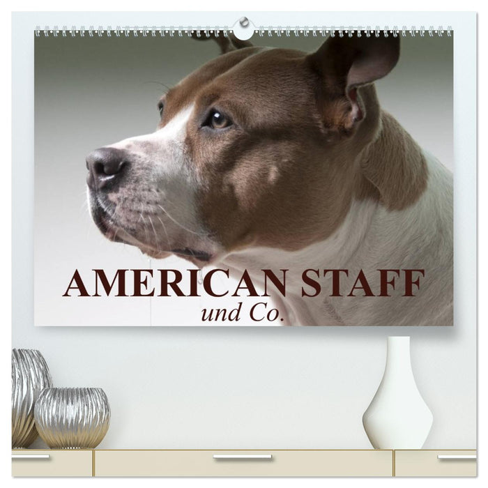 American Staff und Co. (CALVENDO Premium Wandkalender 2026)