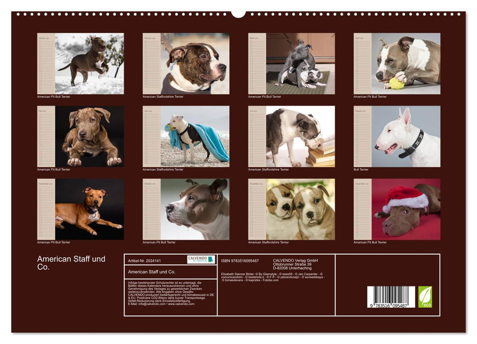 American Staff und Co. (CALVENDO Premium Wandkalender 2026)