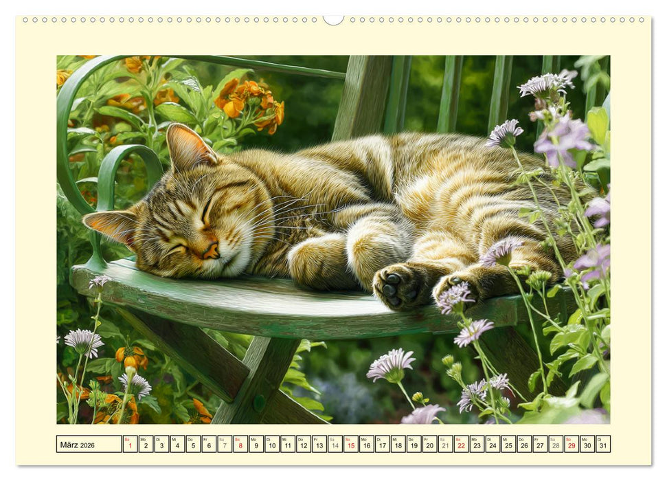 Geliebte Katzen. Unsere zauberhaften Hauskatzen im Garten (CALVENDO Premium Wandkalender 2026)