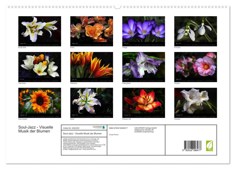 Soul-Jazz - Visuelle Musik der Blumen (CALVENDO Premium Wandkalender 2026)