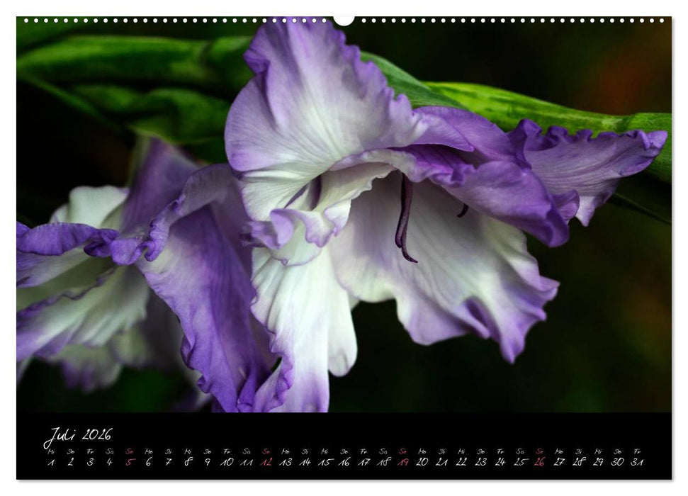 Soul-Jazz - Visuelle Musik der Blumen (CALVENDO Premium Wandkalender 2026)