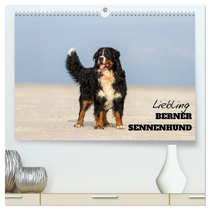 Liebling BERNER SENNENHUND (CALVENDO Premium Wandkalender 2026)