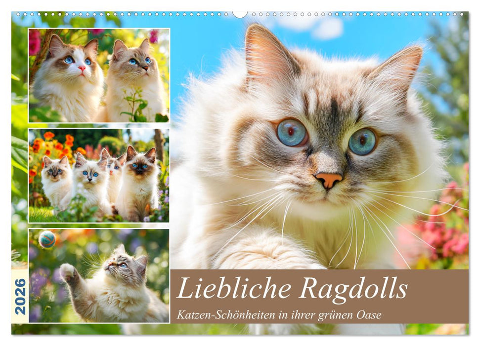 Liebliche Ragdolls. Katzen-Schönheiten in ihrer grünen Oase (CALVENDO Wandkalender 2026)