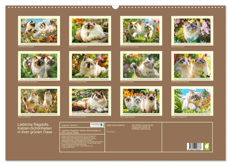 Liebliche Ragdolls. Katzen-Schönheiten in ihrer grünen Oase (CALVENDO Wandkalender 2026)