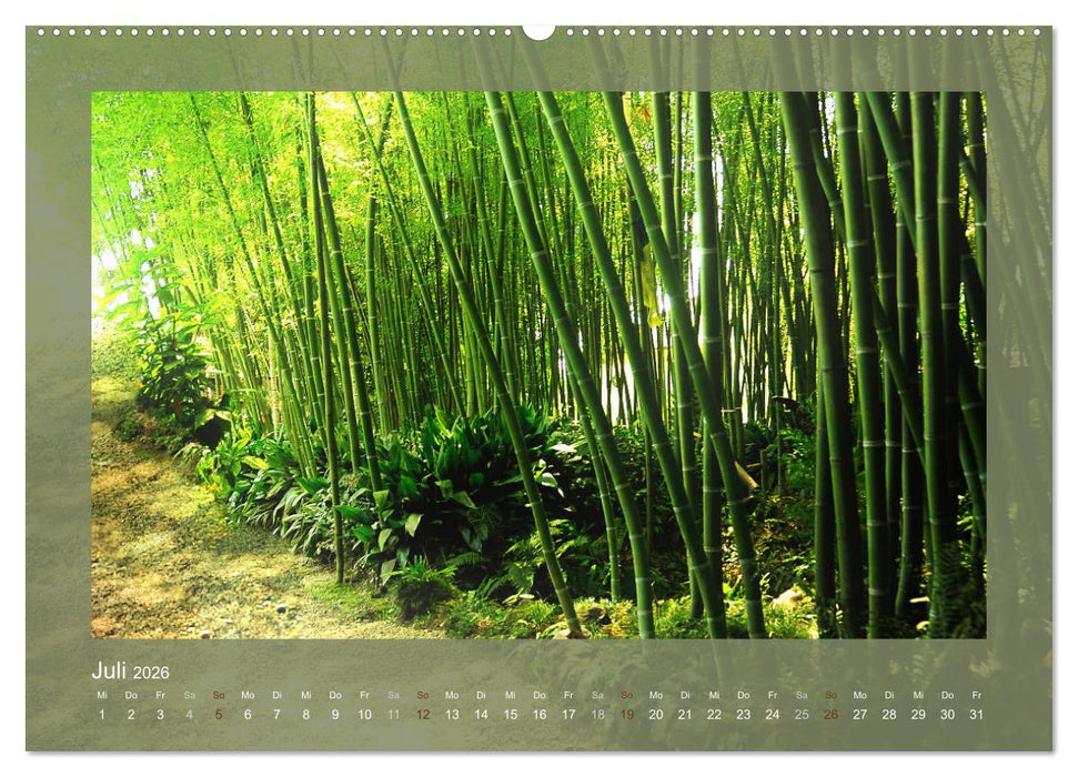 Bambus (CALVENDO Premium Wandkalender 2026)
