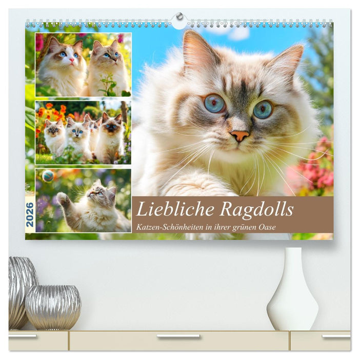 Liebliche Ragdolls. Katzen-Schönheiten in ihrer grünen Oase (CALVENDO Premium Wandkalender 2026)