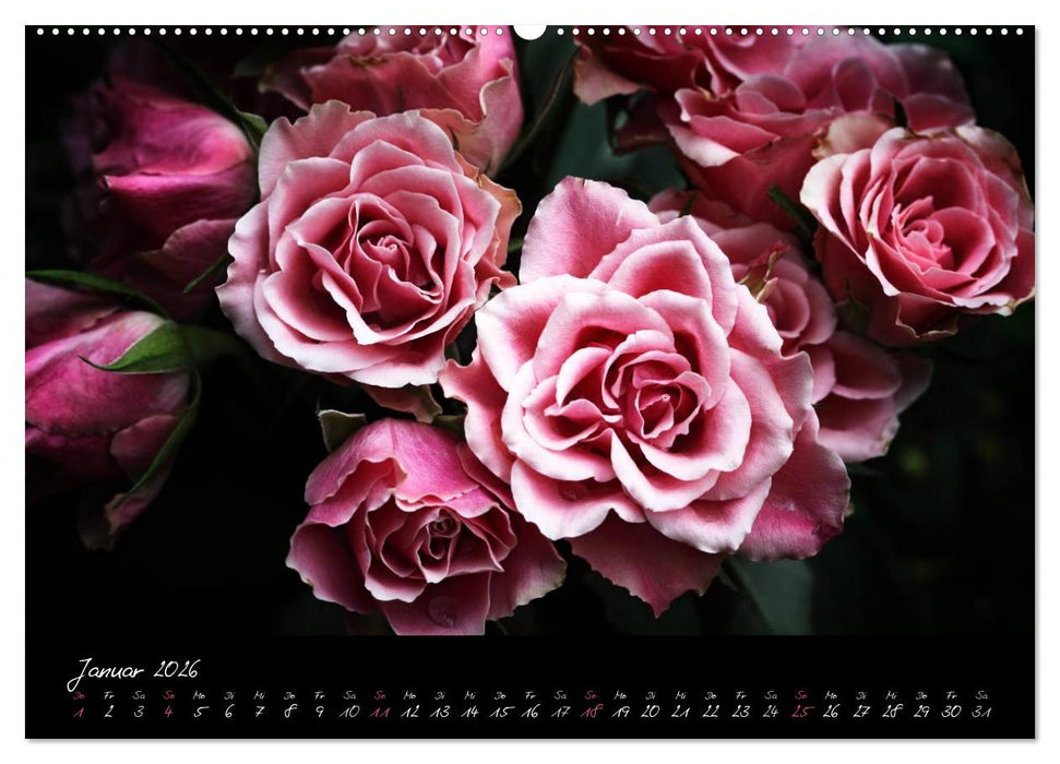 Florales Sonett - Visuelle Musik der Blumen (CALVENDO Wandkalender 2026)