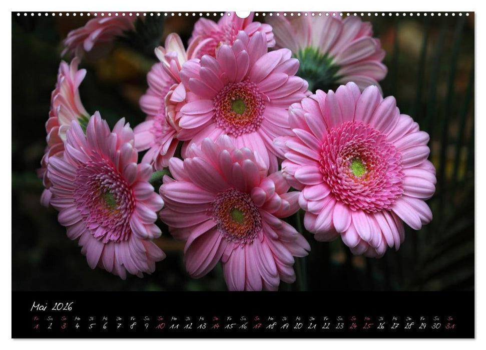 Florales Sonett - Visuelle Musik der Blumen (CALVENDO Wandkalender 2026)