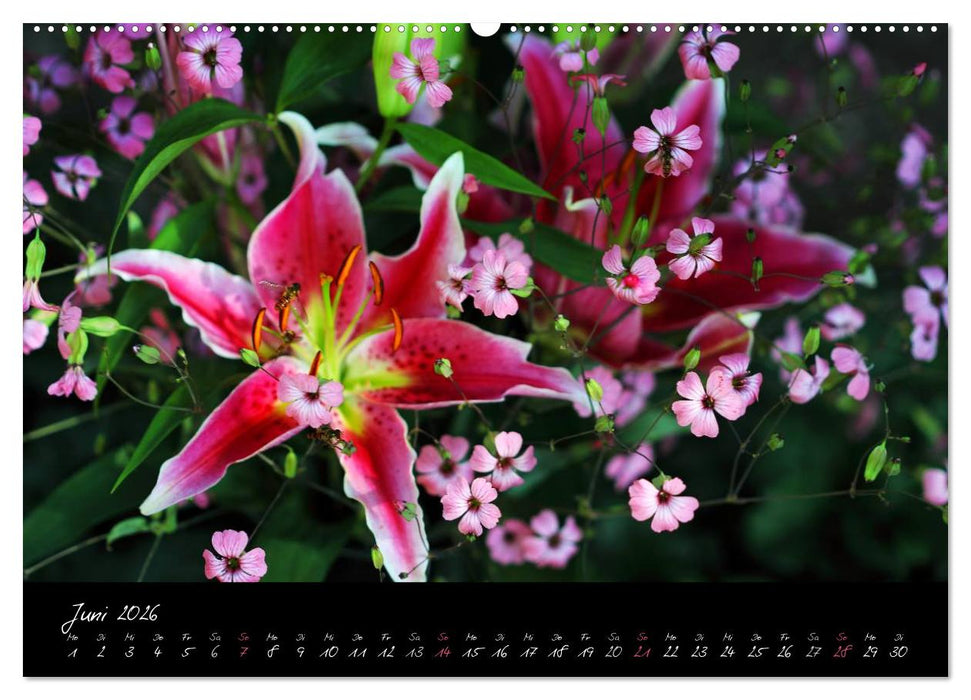 Florales Sonett - Visuelle Musik der Blumen (CALVENDO Wandkalender 2026)