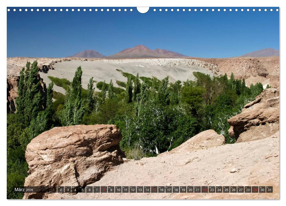 Atacama Wüste - Landschaften der Extreme (CALVENDO Wandkalender 2026)