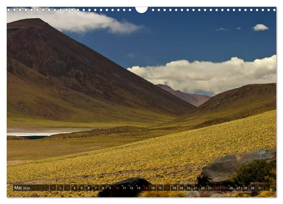 Atacama Wüste - Landschaften der Extreme (CALVENDO Wandkalender 2026)