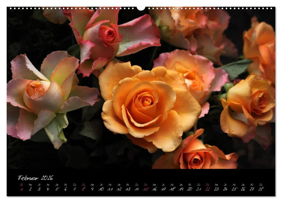 Soul-Jazz - Visuelle Musik der Blumen (CALVENDO Wandkalender 2026)