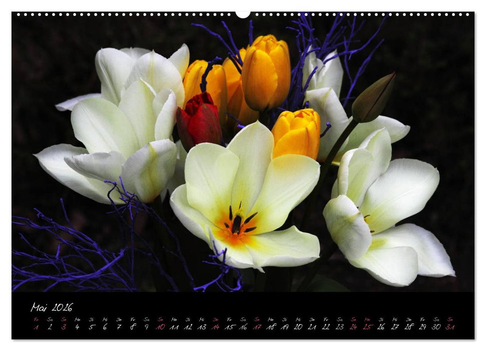 Soul-Jazz - Visuelle Musik der Blumen (CALVENDO Wandkalender 2026)