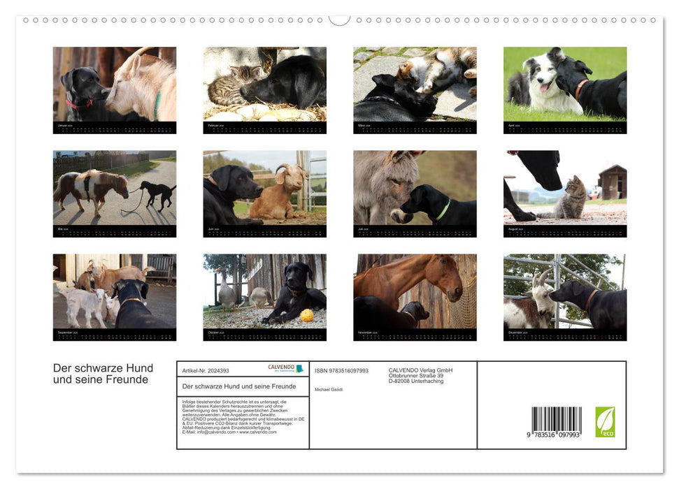 Der schwarze Hund und seine Freunde (CALVENDO Premium Wandkalender 2026)