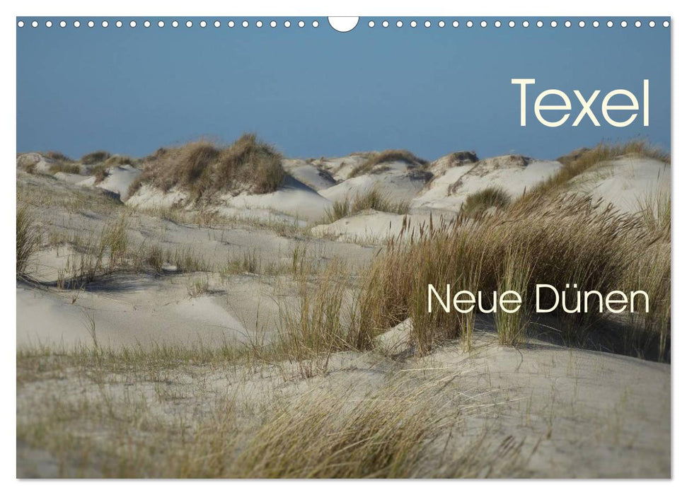 Texel. Neue Dünen (CALVENDO Wandkalender 2026)