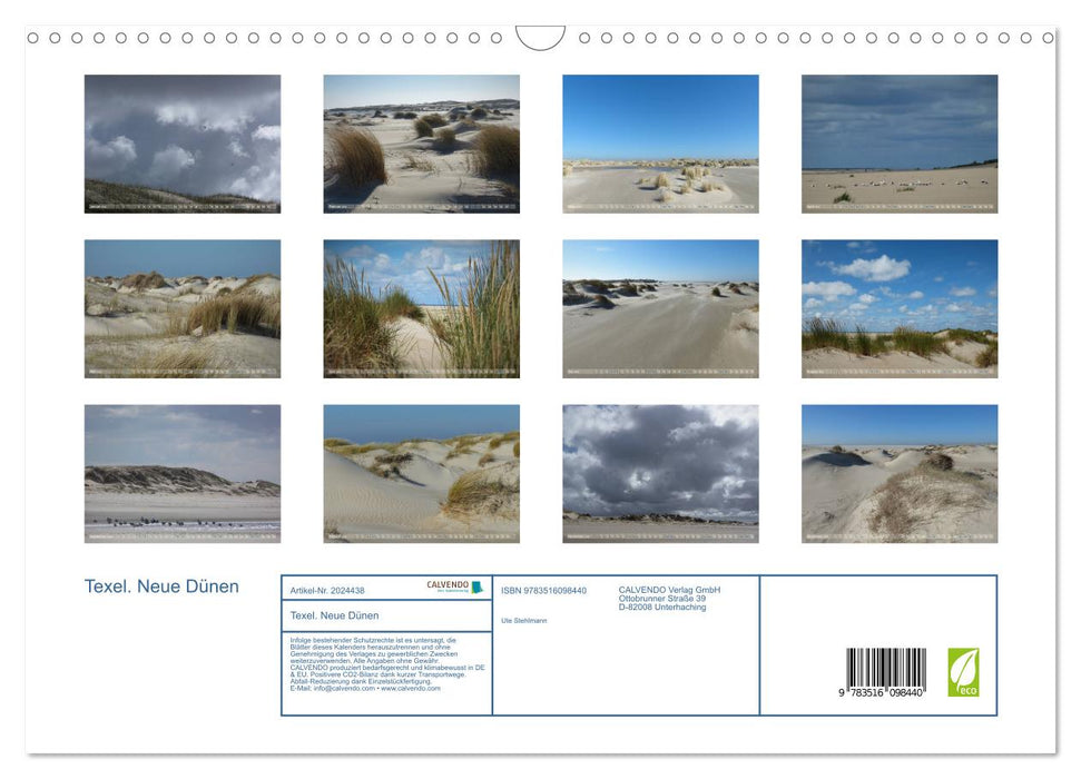 Texel. Neue Dünen (CALVENDO Wandkalender 2026)