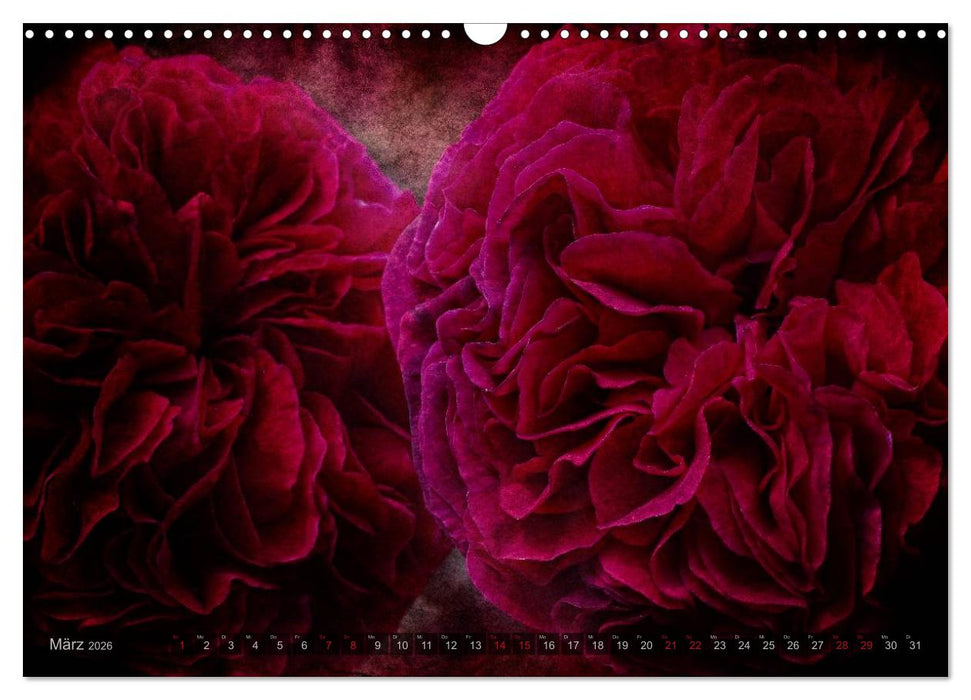 Gothic Rose - Rosen aus dem Garten der Finsternis (CALVENDO Wandkalender 2026)