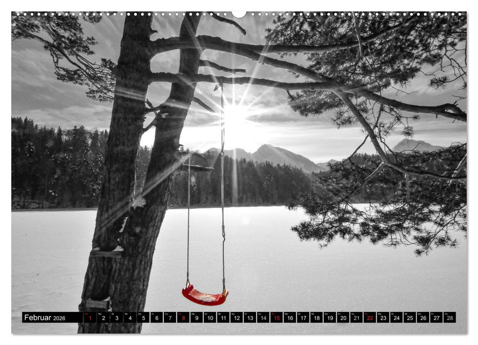 Schwarz - Weiß - Rot (CALVENDO Premium Wandkalender 2026)