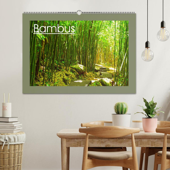 Bambus (CALVENDO Wandkalender 2026)
