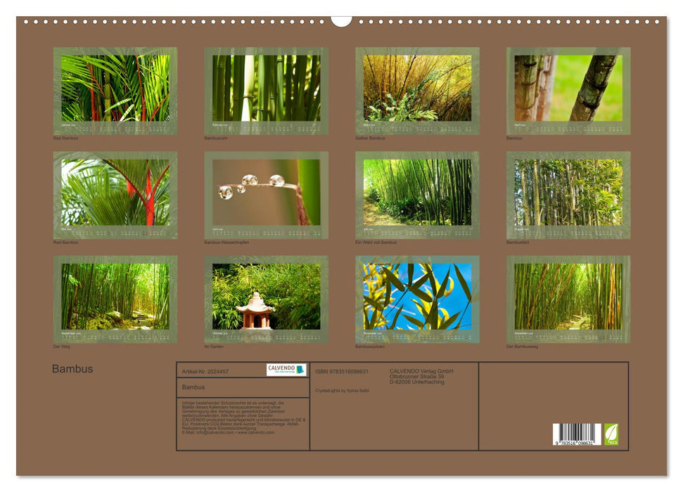 Bambus (CALVENDO Wandkalender 2026)