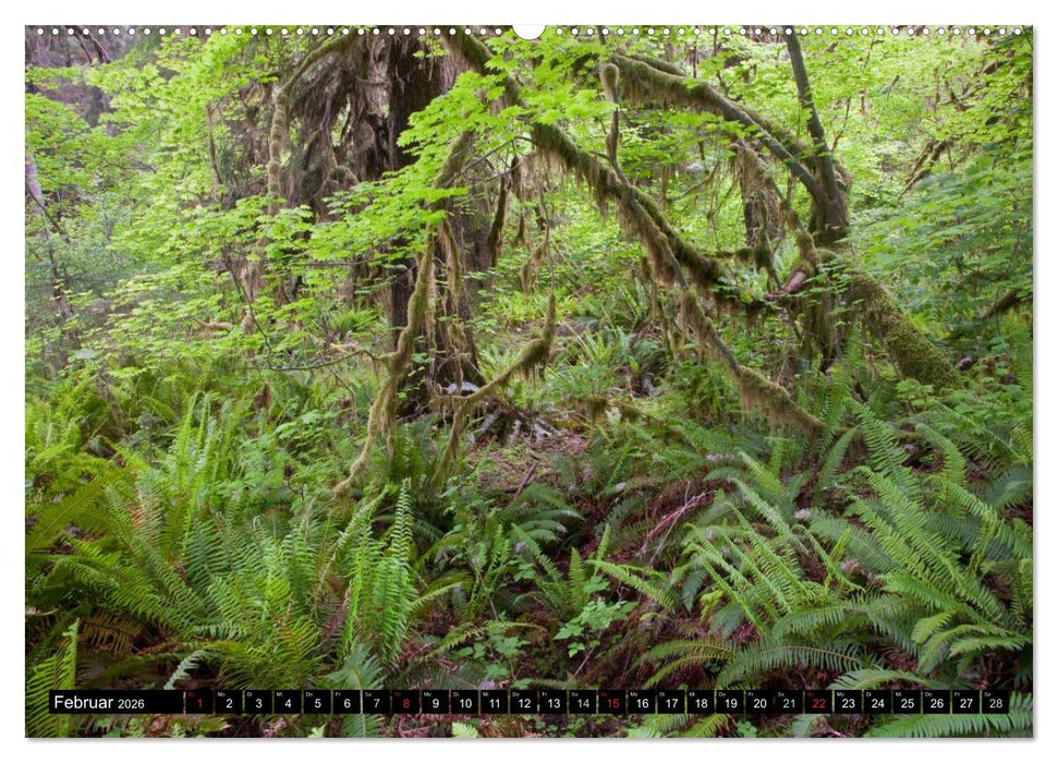 Blickpunkte der USA (CALVENDO Wandkalender 2026)